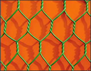 Electro Galvanized Hexagonal Wire Netting