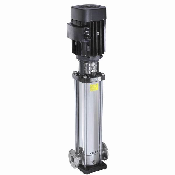 Vertical  multistage  pump