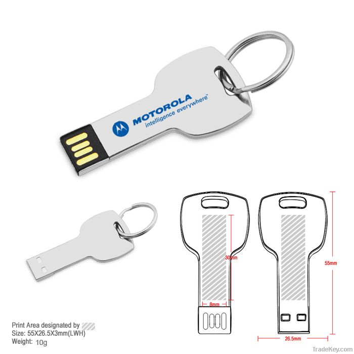Promotion gift-USB flash drive