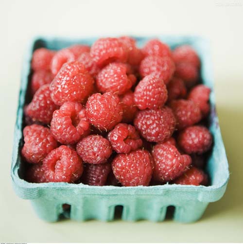 Cardboard Berry Box