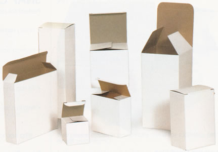 Die Cut Folding Carton