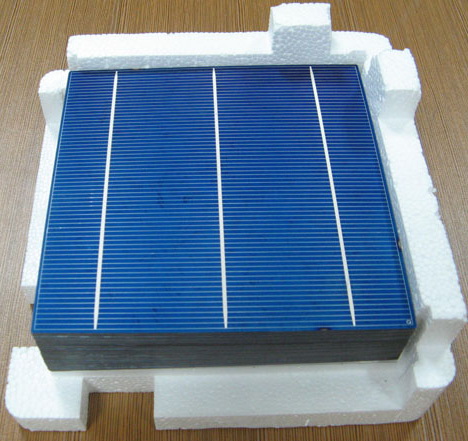 156mm Polycrystalline Solar cell / 3bus-bar