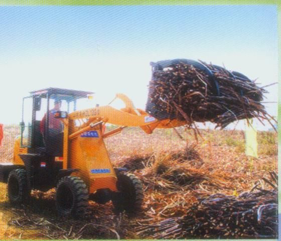 Sugarcane loader