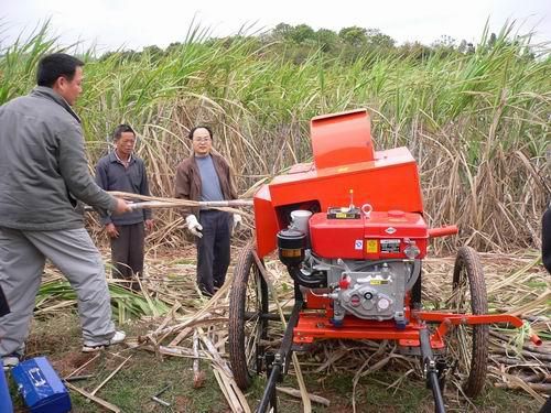 Sugarcane leaf-removing machine