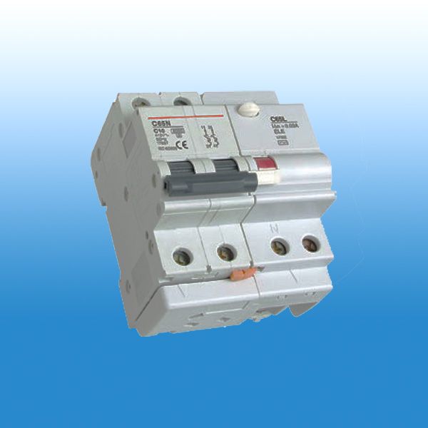 Earth Leakage Circuit Breaker(C65LE)