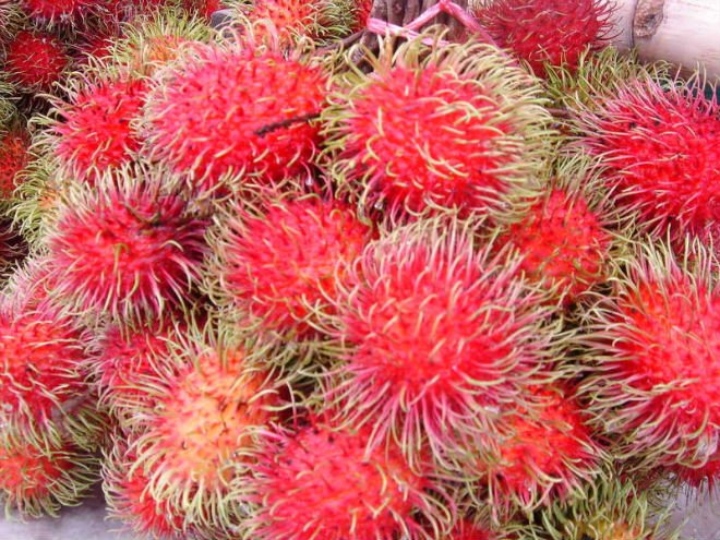 Rambutan