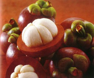 Mangosteen