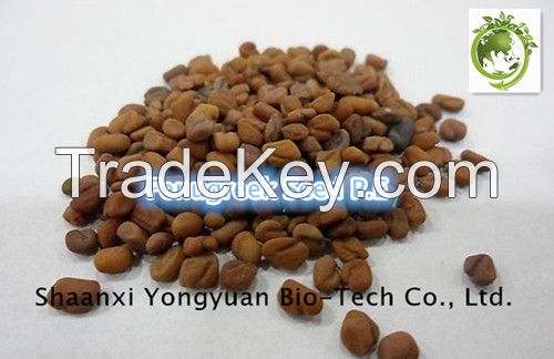 Fenugreek Seed Extract 