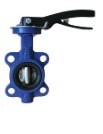 lug type butterfly valves