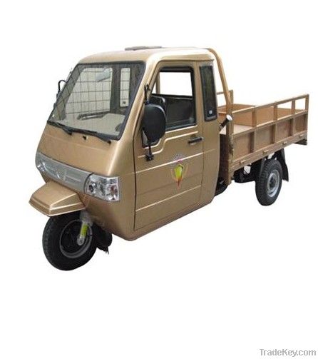 250cc 3 Wheel Cargo Motor Tricycle