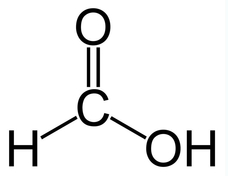 formic acid HCOOH