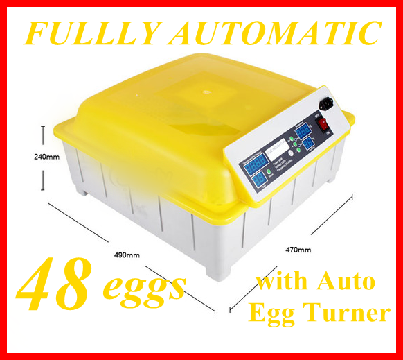 Newst Small Chicken Eggs Hatching Machine  Automatic Eggs Hatching Machine