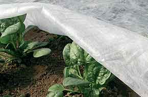 uv nonwoven fabric for agriculture