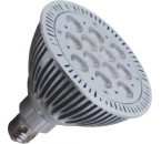 LED Bulbs