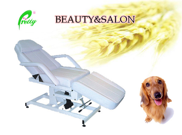 Electric Beauty Bed