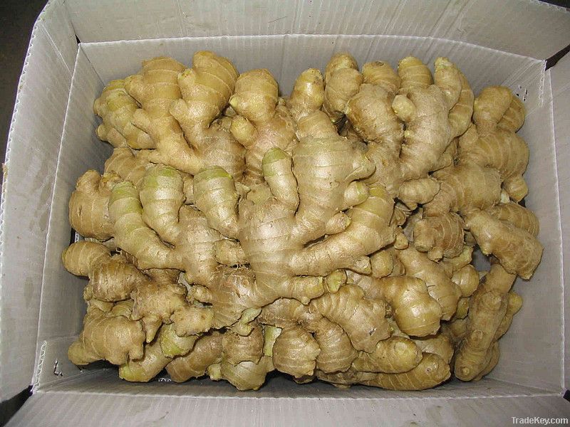 Chinese Dried Ginger