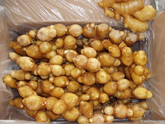 Chinese Dried Ginger