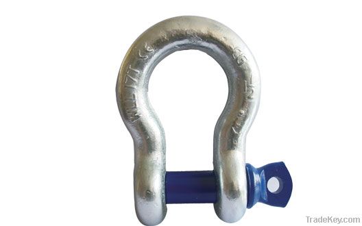 Screw Pin Anchor Shackle (T8)