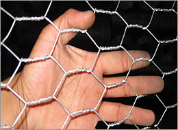 galvanized and pvc coated hexagonal wire mesh