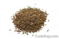 Cumin Seeds