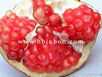 Ellagic acid, pomegranate extract 90% HPLC