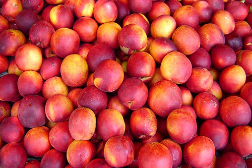 Nectarines