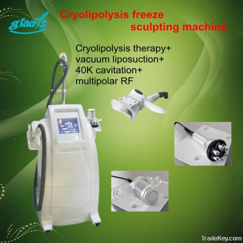 Cryolipolysis Freeze Vacuum Cavitation Rf Fat Burning Slimming Machine