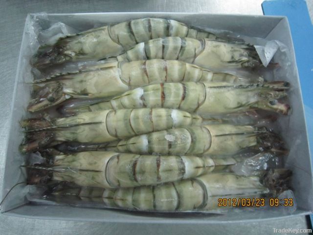 frozen shrimp