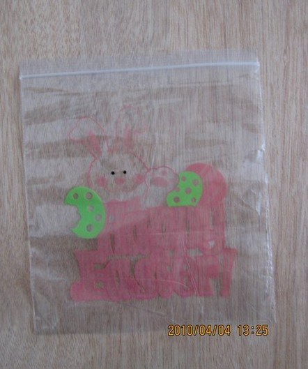 LDPE Zipper Bag