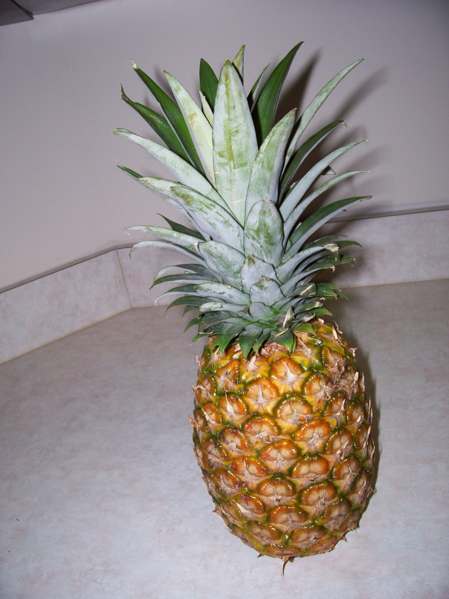 CANED PINEAPPLE
