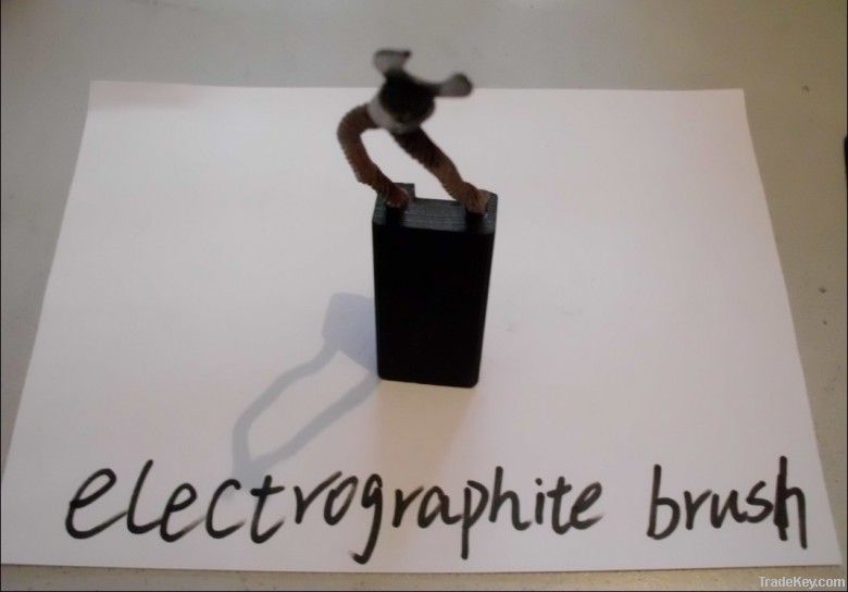 Electrographite Brush