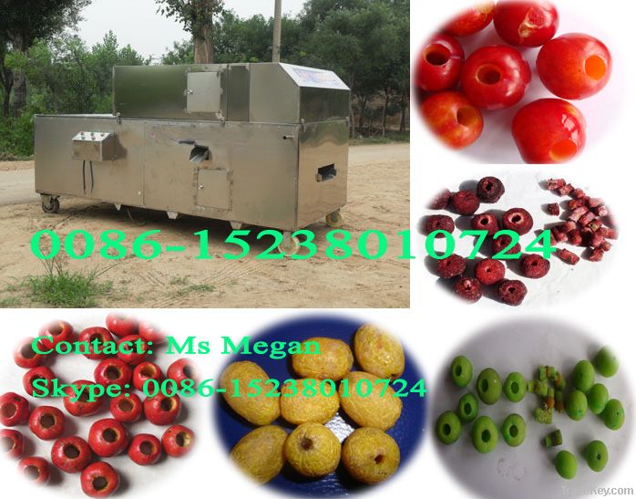 well-known fruit seed removing machine 0086-15238010724