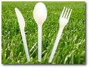 bio degradable cutlery