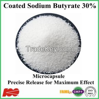 Coated Sodium Butyrate 30%