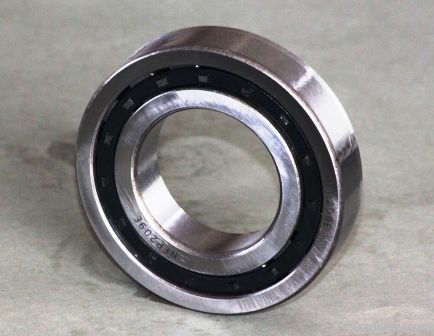 NU1000 Series Cylindrical Roller Bearing