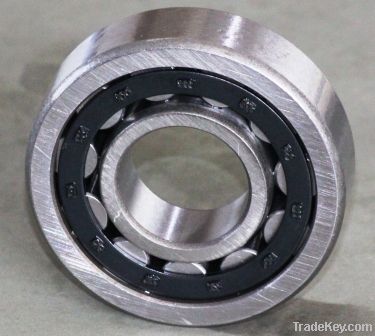 NU200 Series Cylindrical Roller Bearing