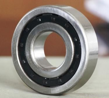 NJ200 Series Cylindrical Roller Bearing