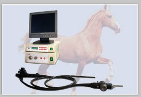 veterinary endoscope