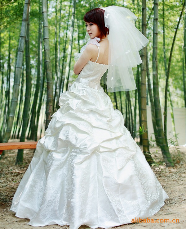 Wedding Dress Gown