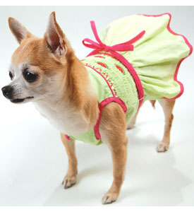 Pet clothes, Pet Houese, Pet Beds