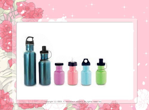 Sport Water Bottle