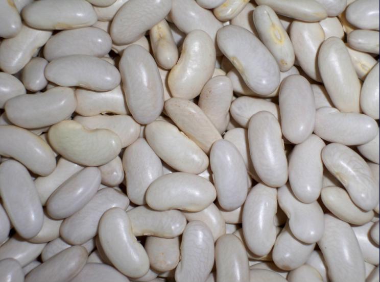 white kidney beans