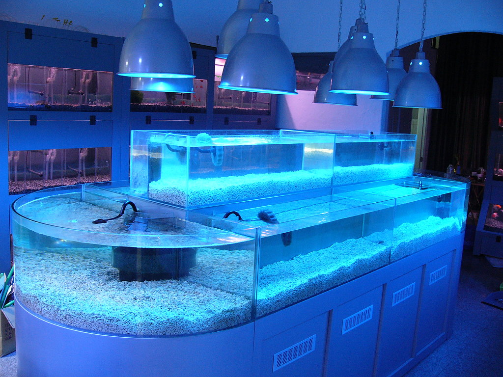 Aquarium with cabinet