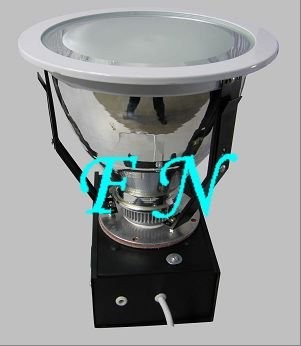 induction down light/electrodeless down lamp IP65