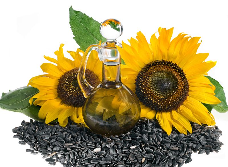 sunflower oil from Ukraine