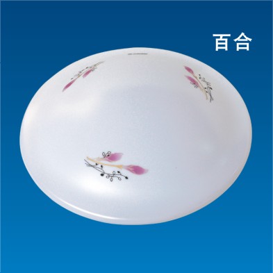 residental ceiling lamp series