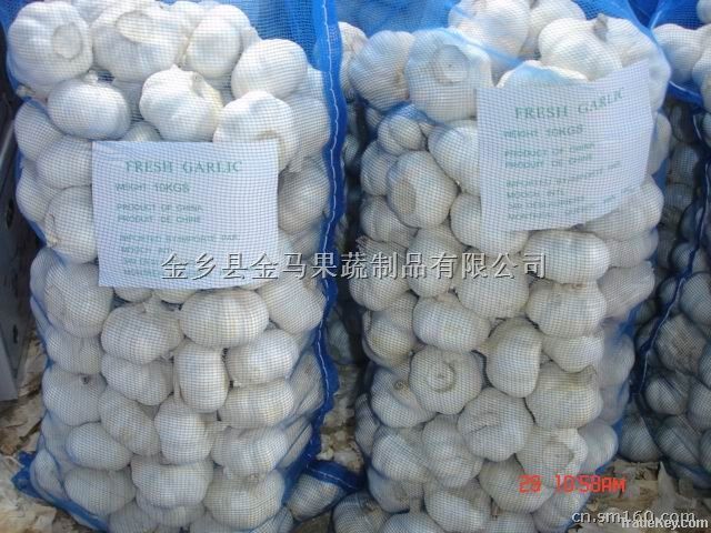 Normal white garlic 5.5cm new crop