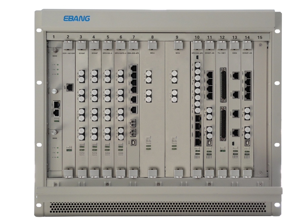 Multiple Service Access Platform(MSAP)