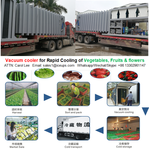 Fresh vegetable vacuum cooler widely use in Agriculture