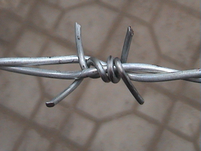 Manufacturer provide barbed wire